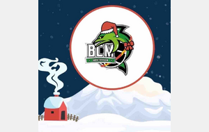 Bonnes vacances et bonnes fêtes !