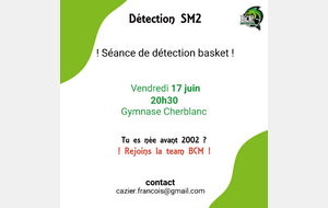 🏀 Détection SM2 🏀