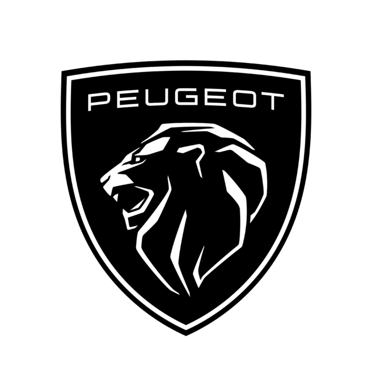 Peugeot Garage Du Palais