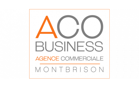 ACO Business
